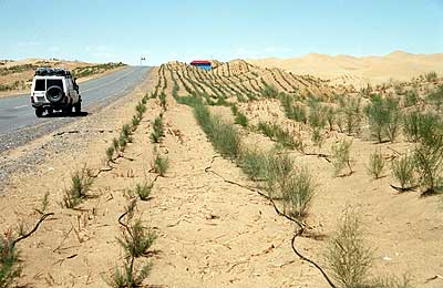 neue Teerstrasse durch die Takla Makan, Xinjiang, China