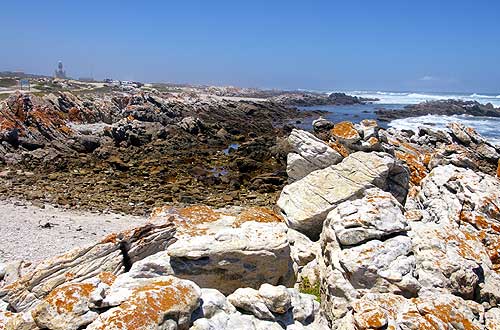 am Kap Agulhas