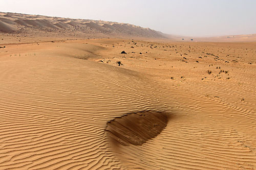 Wahibah Sands